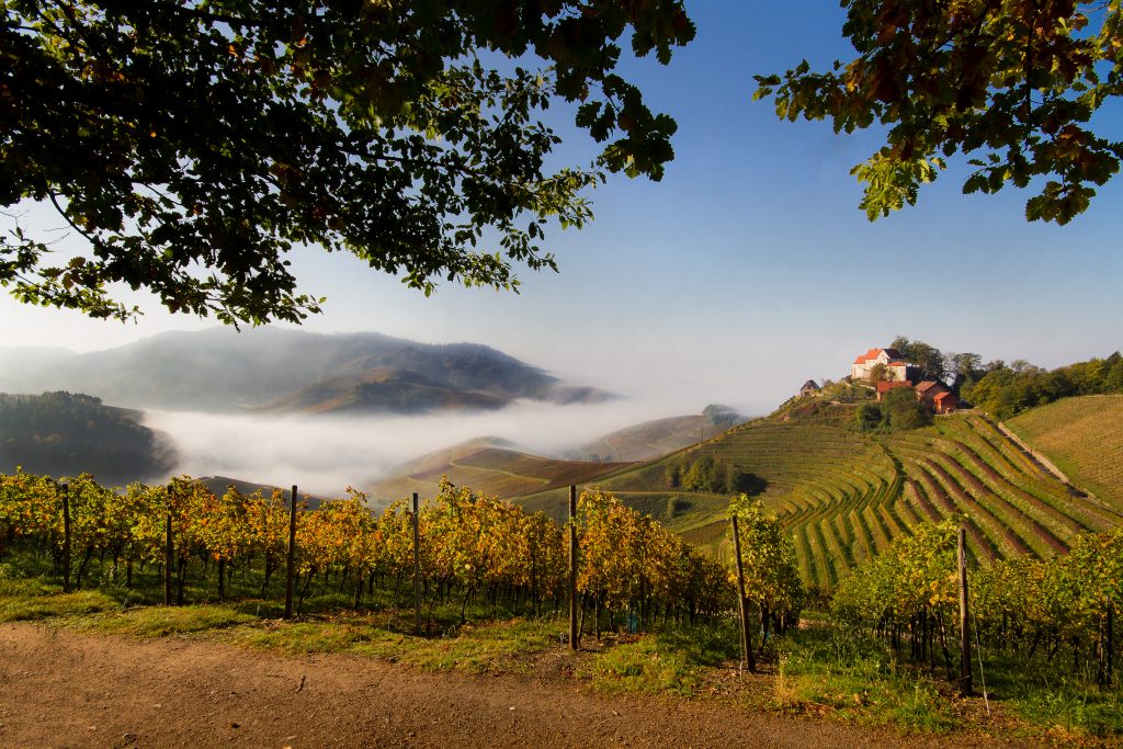 Schloss Staufenberg über den Durbacher Weinbergen