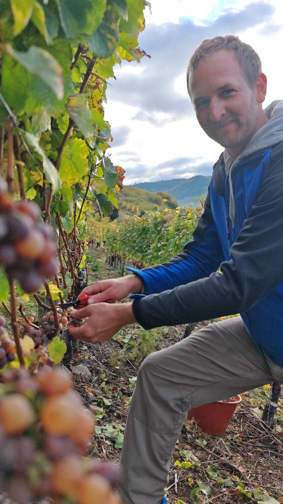 Jürgen Klaus dans un vignoble de Durbach